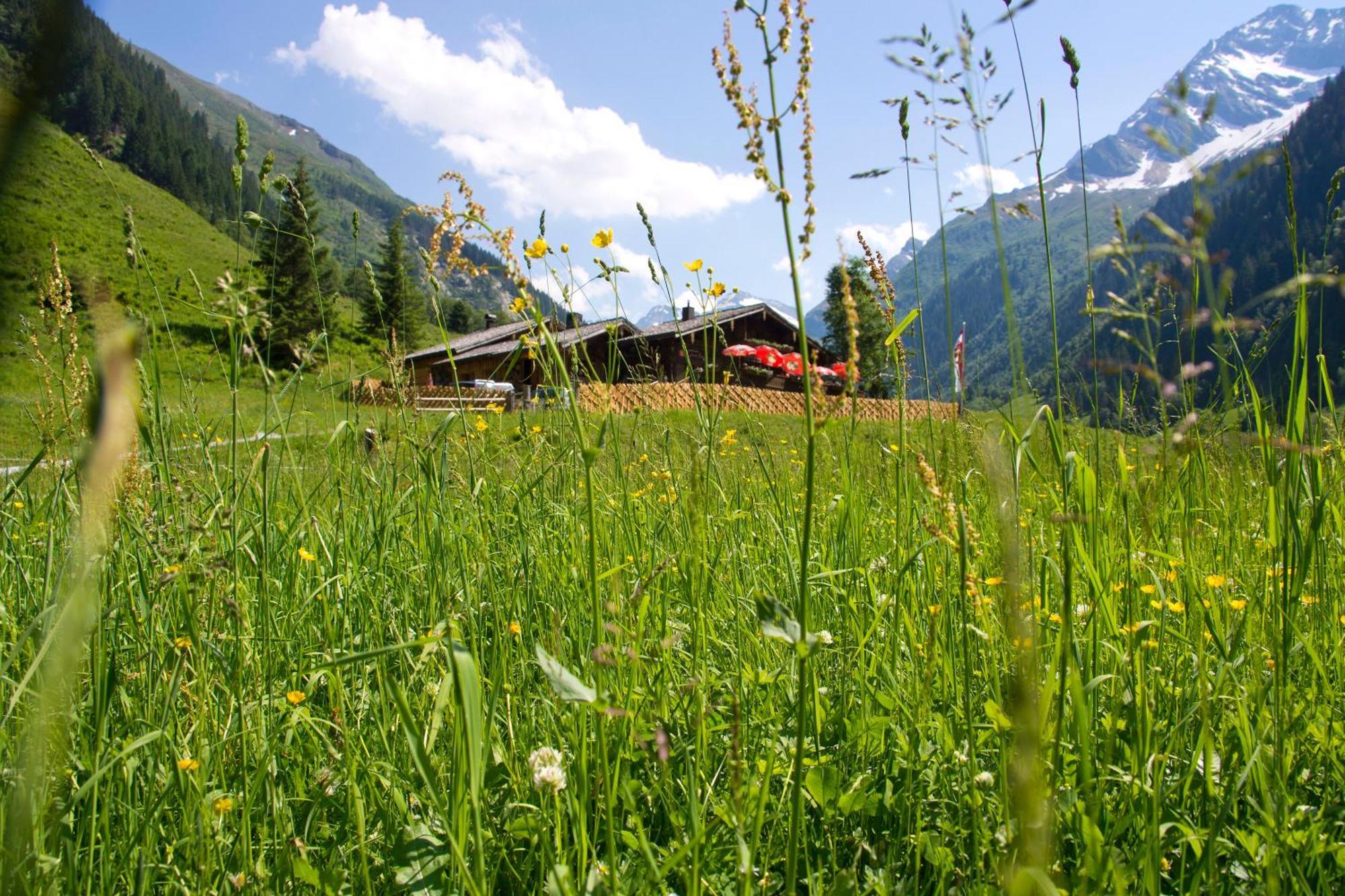 Bed and Breakfast Senninger Alm Hollersbach im Pinzgau Esterno foto